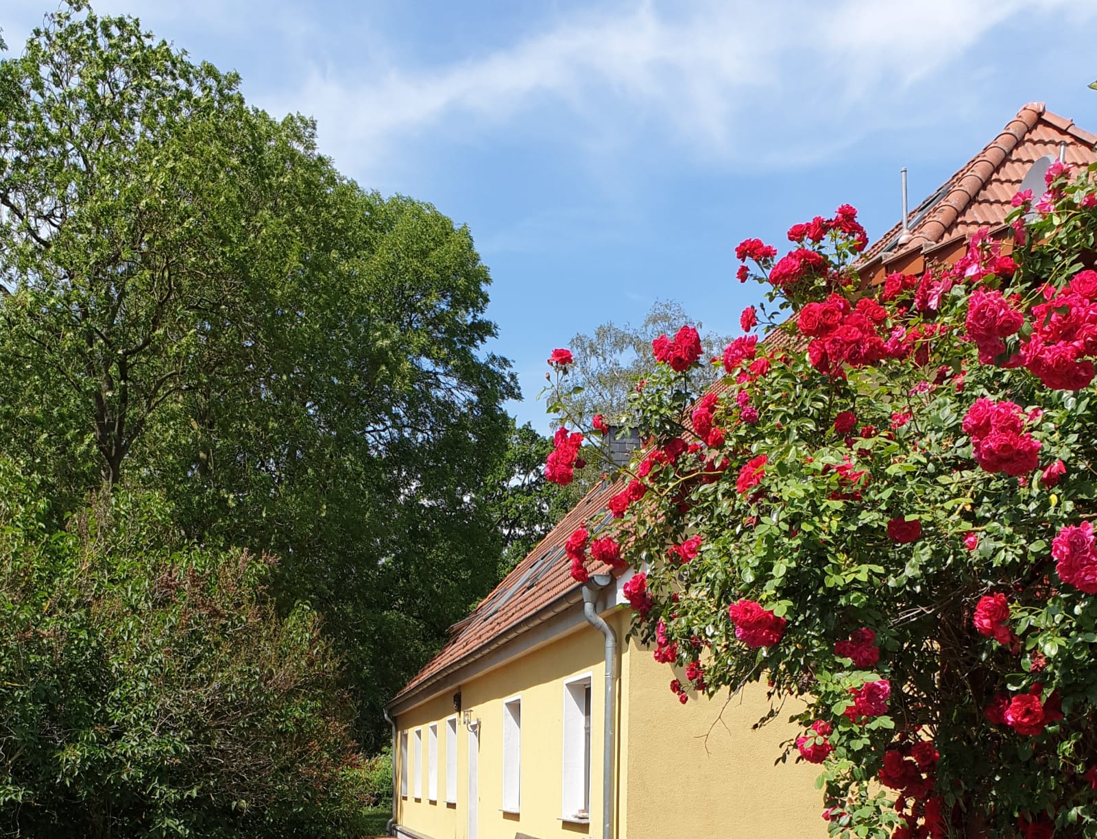 Monteurzimmer & Zimmervermietung bei Wittstock